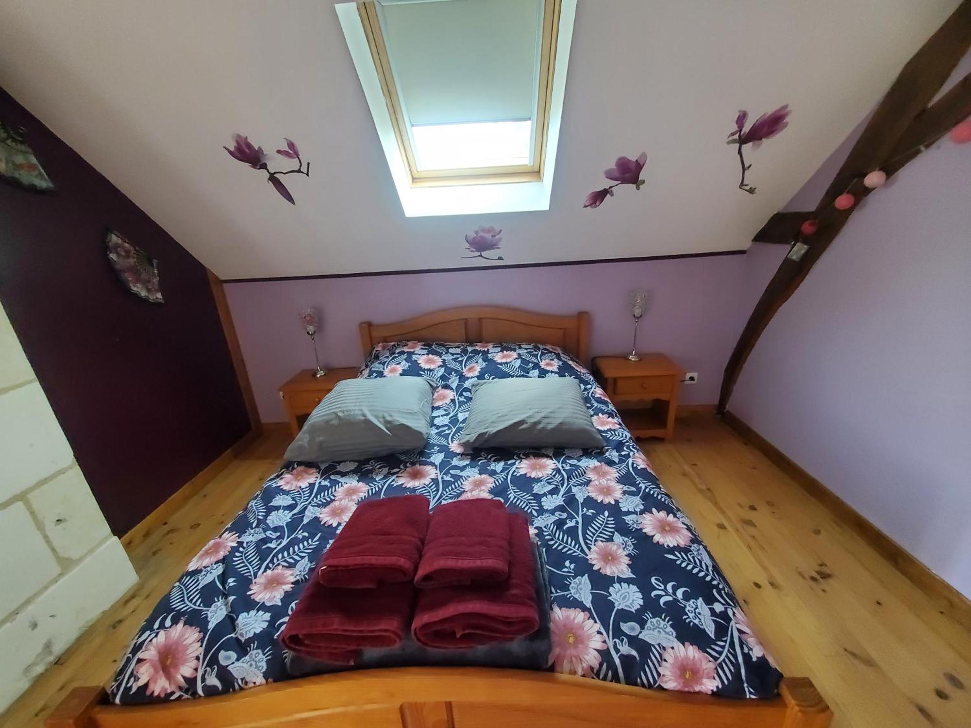 Gîte coeur des vignes en Touraine La Chapelle-sur-Loire Extérieur photo