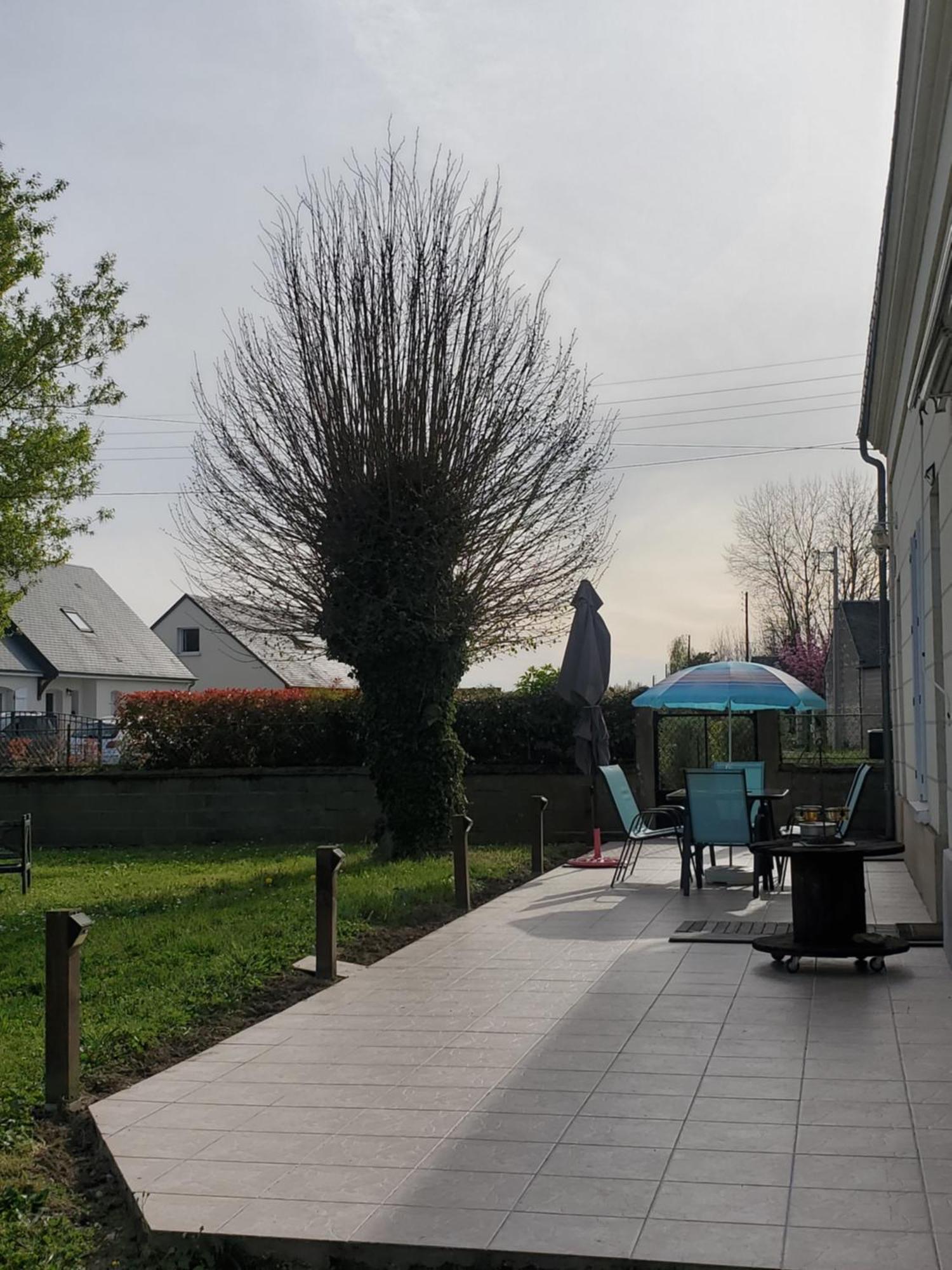 Gîte coeur des vignes en Touraine La Chapelle-sur-Loire Extérieur photo