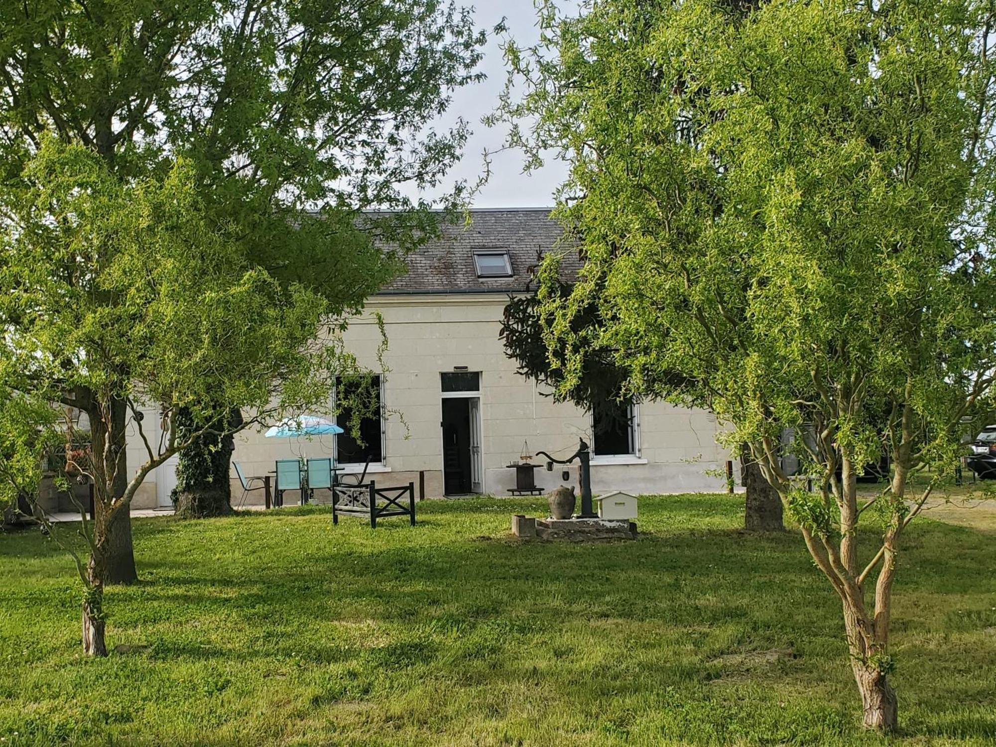 Gîte coeur des vignes en Touraine La Chapelle-sur-Loire Extérieur photo